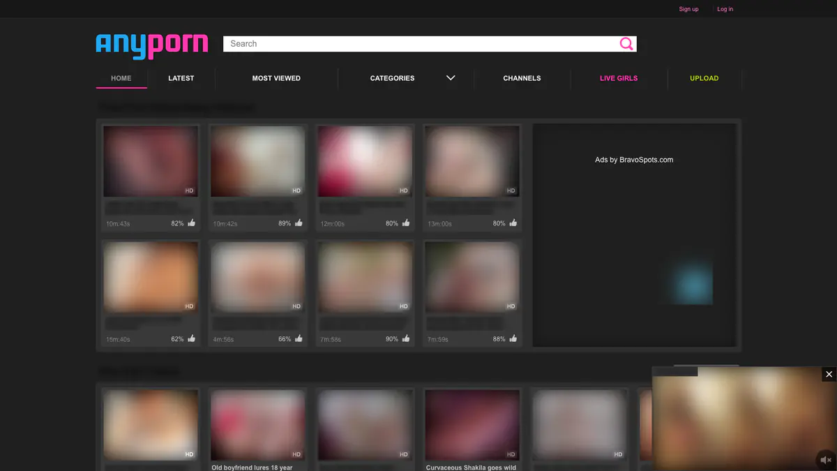 Anyporn Video Downloader browser extension screenshot 2